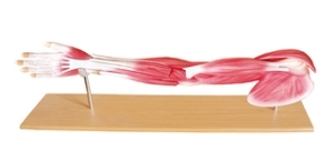 EX-MD02901-1