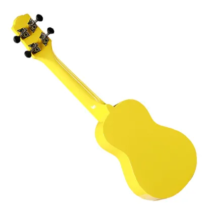 Professional electro acoustic guitar tops Acoustic Guitar