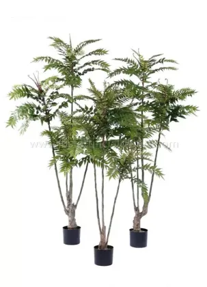 Popular Artificial Chinese Toon Tree With Plastic Eco Friendly