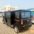 11-seater lithium battery convertible electric vehicle