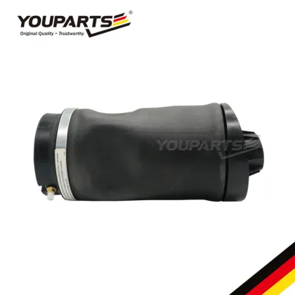 YOUPARTS 2513200425 Air Spring Air Bag Suspension for Mercedes-Benz R-Class W251