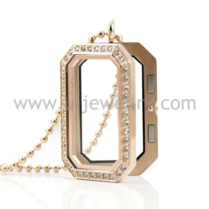 New arrive wholesale glass origami owl locket floating(LP0283)