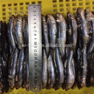 sea frozen anchovy fillets in vinegar water