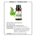 Organic Parsley Essential Oil Parsley Herb Oil