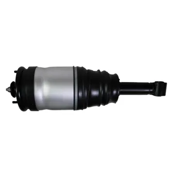 Rear Air Suspension Shock Absorber Repair Kit for 3 RPD501090 & RPD501110