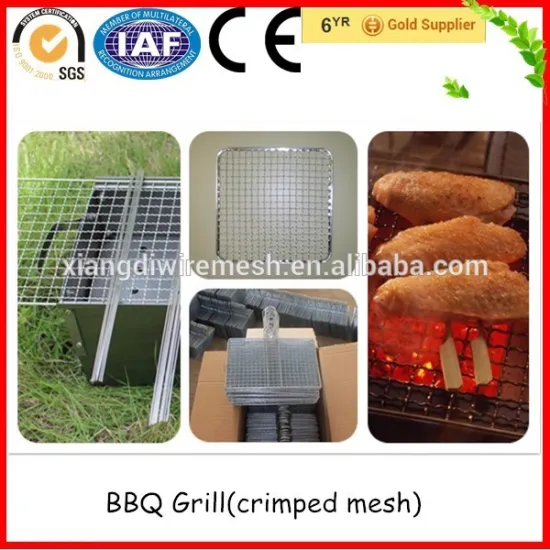 High Quality BBQ Grill, Barbecue Grill Mesh For Japanese Customer