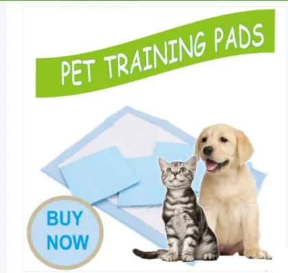 Pet pad training products OEM brand