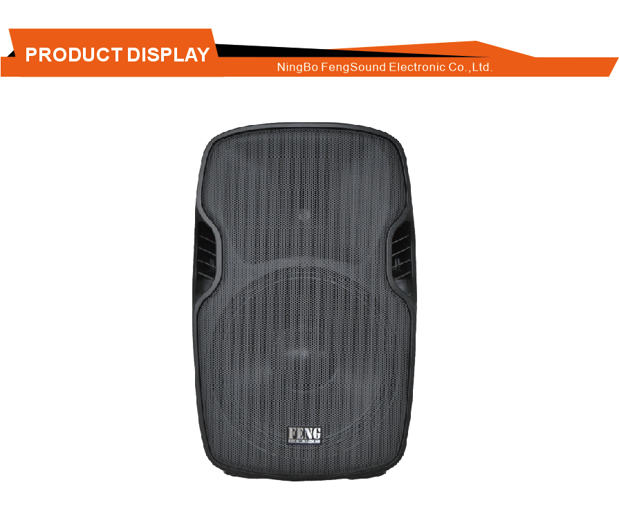 Versatile Performance Speaker