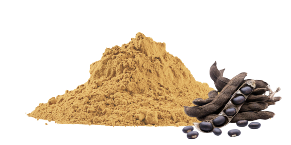 Mucuna Pruriens Extract: Health Benefits