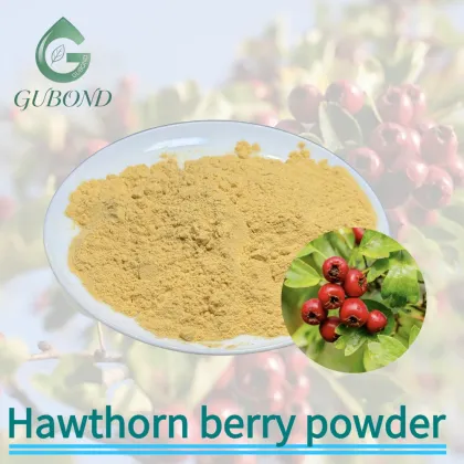 Hawthorn Spray Dried Fruit Powder