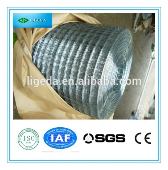 galvanized wire mesh/welded wire mesh fence with low price