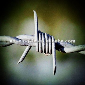 on sale ! galvanized barbed wire line (30 years factory )