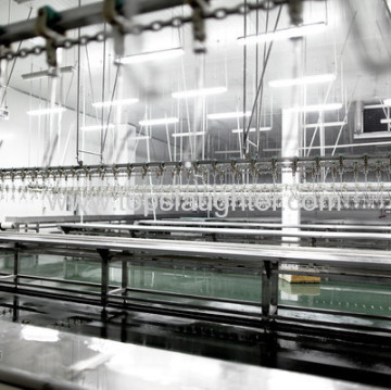 Duck Processing Equipment Subdividing Conveying Line 