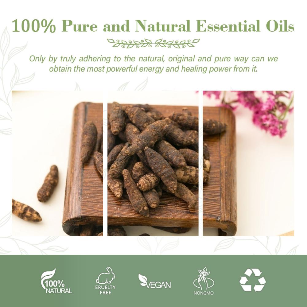 Puro y natural con aceite de calidad premium de grado terapéutico Cyperus rotundus Linn Oil cipriol Aceite