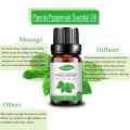 Wholesale piperita peppermint essential oil massage