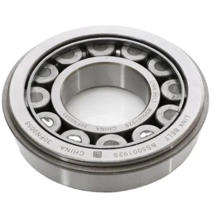 High Speed F-627858.01 NU-BNS 55x90x18mm Cylindrical Roller Bearing for Auto Vehicle and Scooter