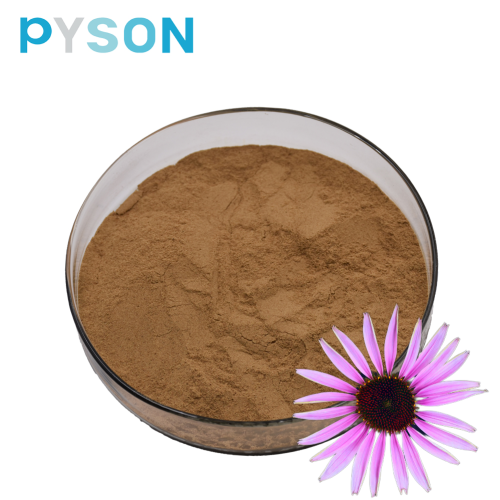 Herbal extract echinacea polyphenols