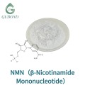 Polvo de mononucleótido de nicotinamida NMN 995 para fórmulas de energía celular de NAD Nutrition