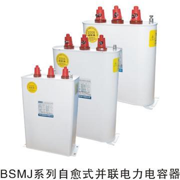 BSMJ Split Phase Compensation Shunt Capacitor