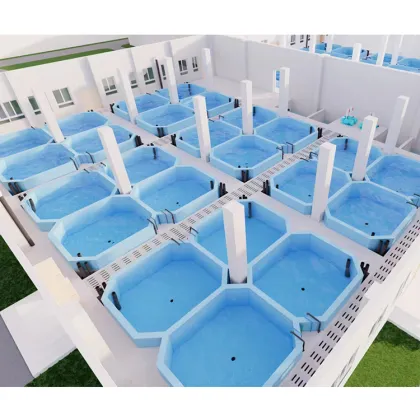 Customized Ras Shrimp Farming: Recirculating Aquaculture Systems (RAS)