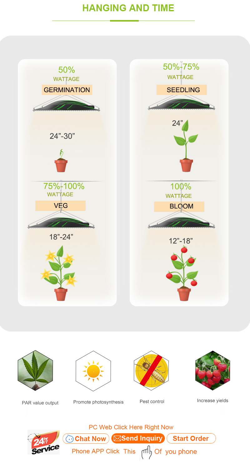 Led Grow Light