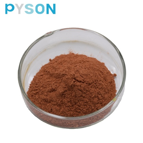 Factory Price Cinnamon Bark Extract Powder 30% Polyphenols