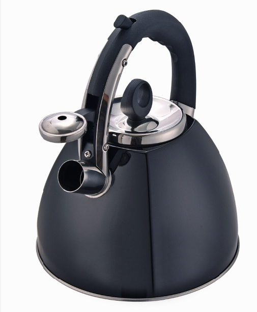 Stainless teel construction kettle black