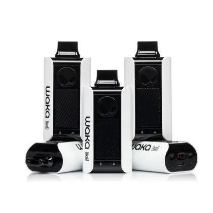 Buy Waka SOPRO PA10000 Puffs Disposable Vape