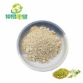 Extrato de Genistein Powder 98% Sophora japonica