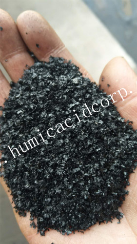 HIGH WATER SOLUBLE POTASSIUM HUMATE FLAKES