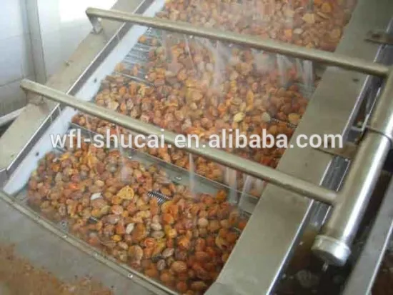 Fruit Washing Machinery/Fruit washer