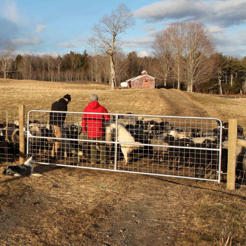 Hoge kwaliteit gegalvaniseerd geweven draad herten boerderij hek voor boerderij geit