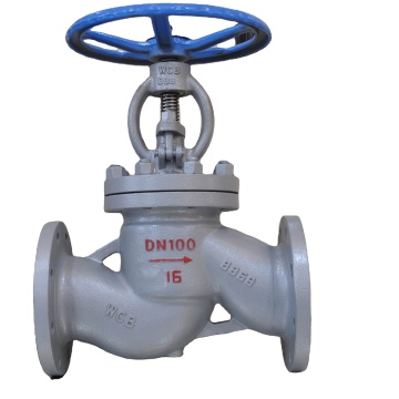 Menjelajahi Jenis Lurus Globe Valves: Memahami SDNR dan Stop Type