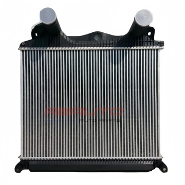 Man F2000 Silnik silnika System chłodnicy Części chłodnicy - OE 81061300179/81061300197