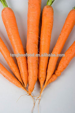 fresh Chinese carrot