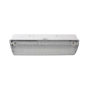 LE502L-AD LED Waterproof Emergency Security Light: Ceiling Emergency Lighting Solution
