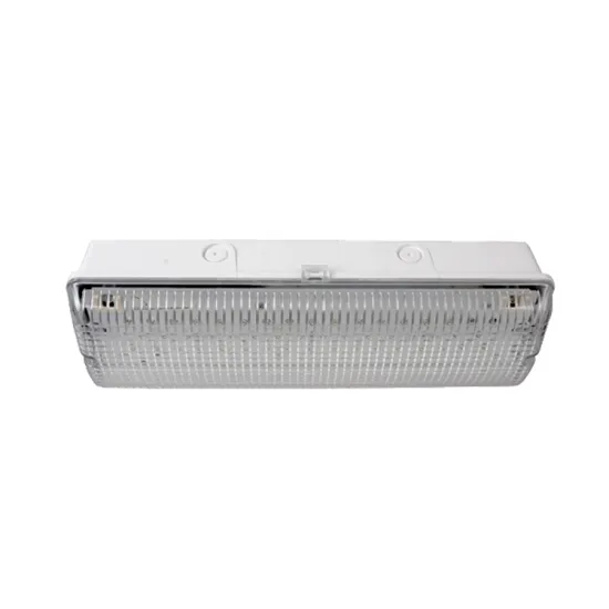 LE502L-AD LED Waterproof Emergency Security Light: Ceiling Emergency Lighting Solution