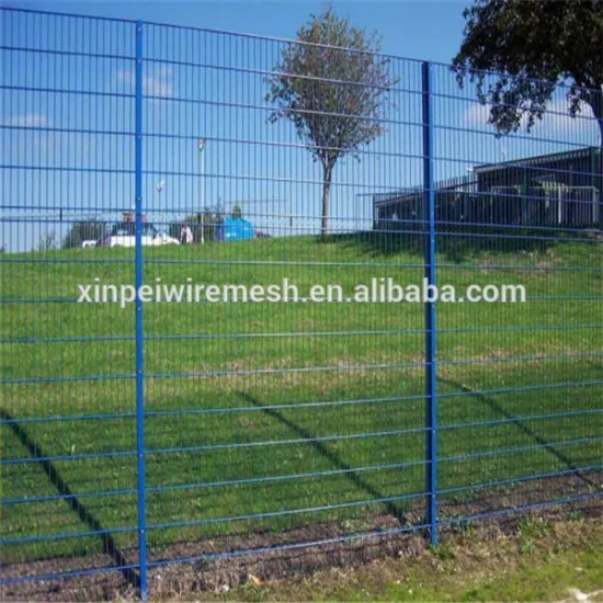 Powder Coated Double Wire Fence /Welded twin Wire Mesh fence (china manufacturer with ISO9001)
