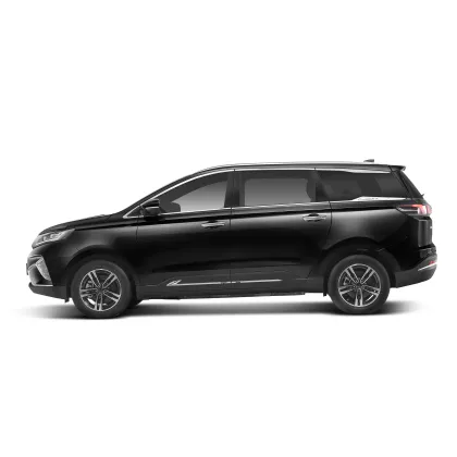 2023 Dayun Brand New Energy Electric Vehicle