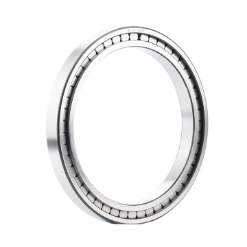 Full Complement Single Row Cylindrical Roller Bearing SL182916-B-XL-C3 80x110x19mm