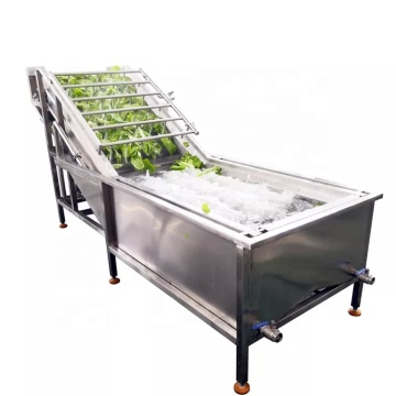 Fresh Leafy Vegetable and Fruit Cleaning Washing Machine for Sale