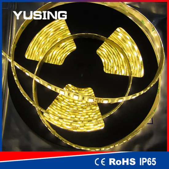 Multifunctional 12v 5m smd5050 led strip 24v