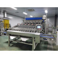 Automatic Shrimp Cleaning And Grading Machine