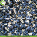 Factory Price Fruit Nutrition Wild Black Wolfberry