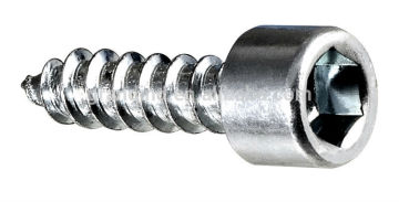 03109 Hex socket head self tapping screw