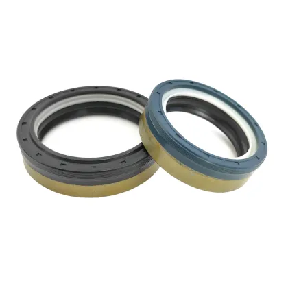 China Manufacturer Viton Oil Seals Custom Dana 2120605101