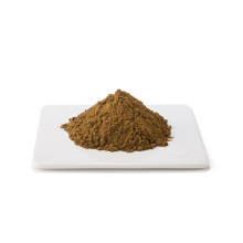 Rosemary Extract Powder Rosmarinic Acid 15%