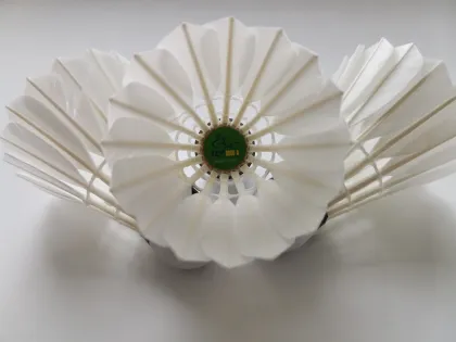 TCX8000-A TCX Brand Ganba Cigu Duck Feather Badminton Shuttlecock