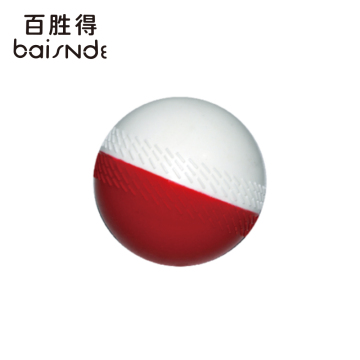 Plastic Practice Cricket Ball