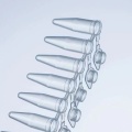 8 튜브 원뿔 바닥 PCR 튜브 스트라이프 0.2ml- 블루